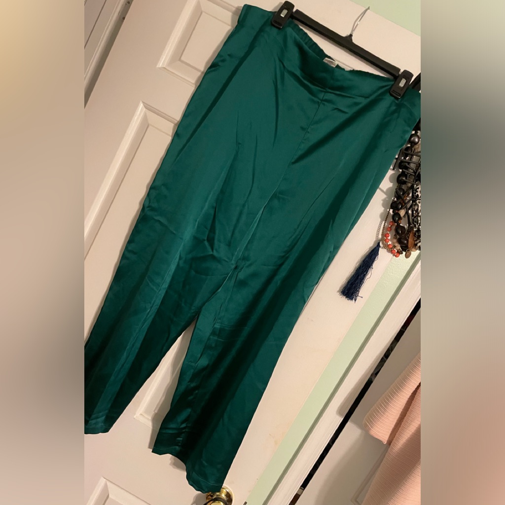 Brand New Nicole Miller Soft Green Pants With Elastic Waist In Back